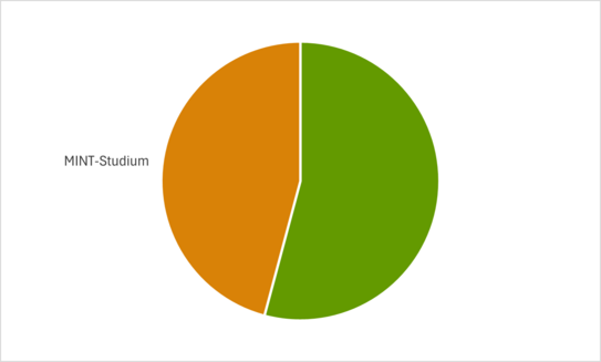 Kuchen-Diagramm über die Studiengänge der Sänger:innen. Etwas mehr als die Hälfte studiert im MINT-Bereich.